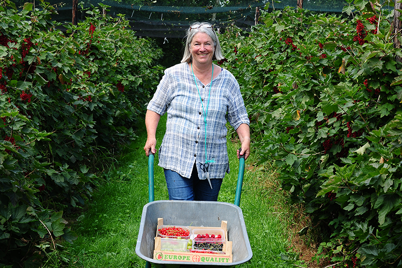 Dianne Schouten achter de kruiwagen in haar fruitsnoeptuin.